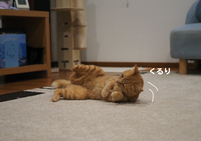 10日ブログ１
