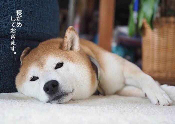 10日ブログ４