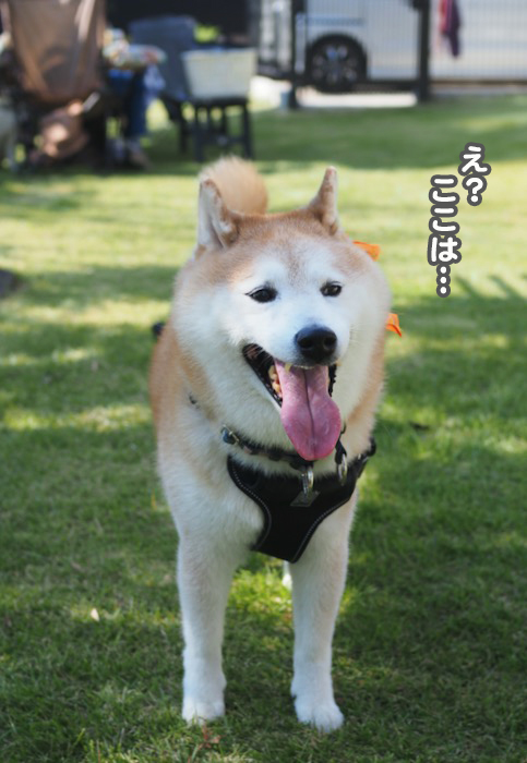 28日夕ブログ２