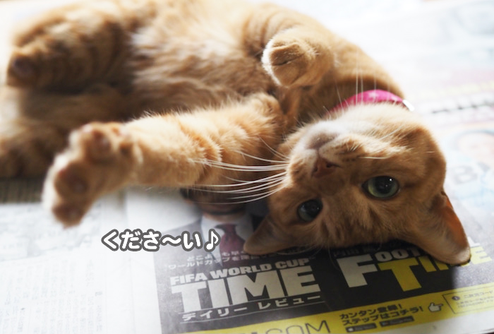 21日夕ブログ６