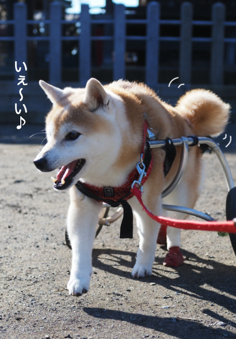 21日夜ブログ３