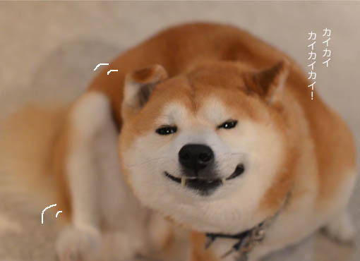 31日ブログ3.jpg