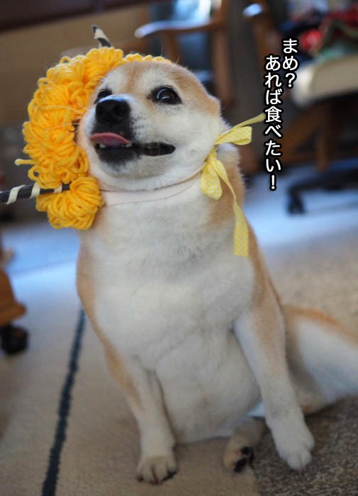 3日夜ブログ3