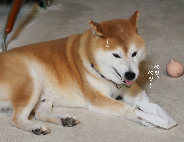 27日ブログ８