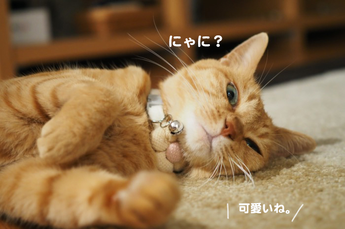 16日夕ブログ８