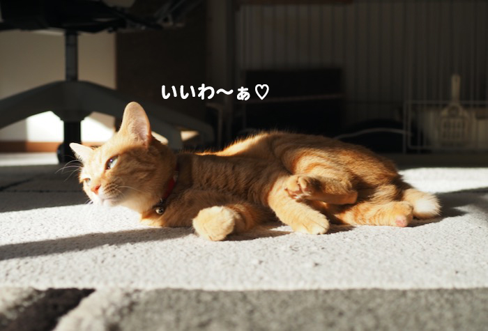 14日の午前ブログ３