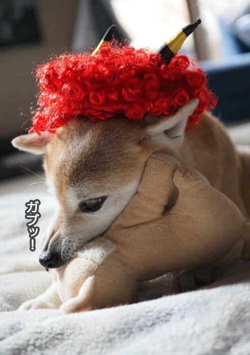 3日夜ブログ６