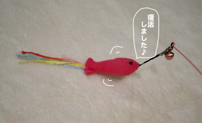 9日夕ブログ２