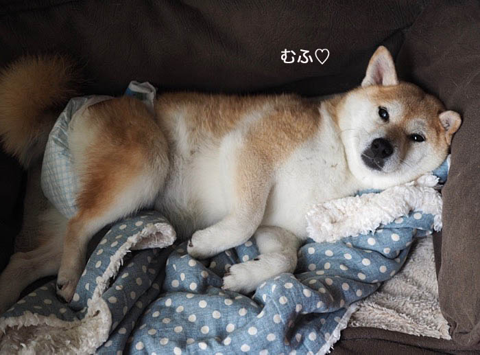 13日夜ブログ１