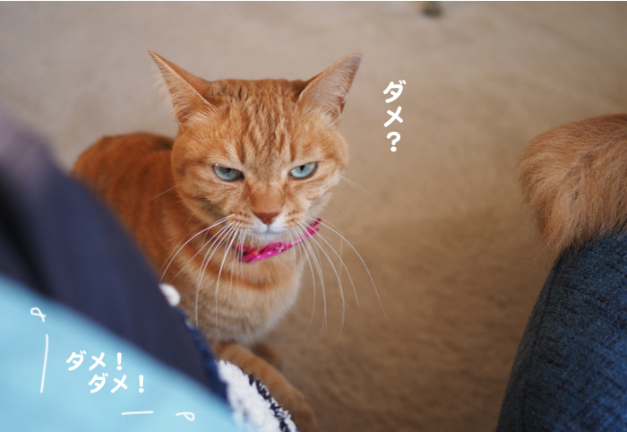 29日ブログ４