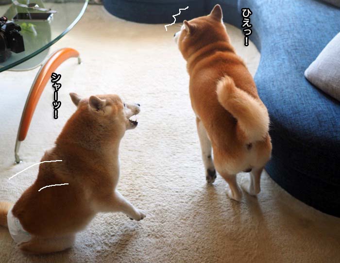 30日夕ブログ５
