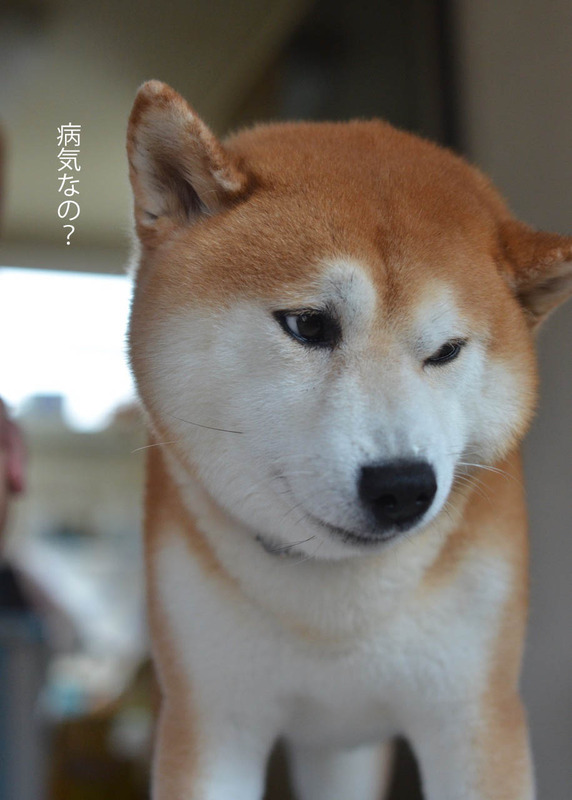 11日ブログ10