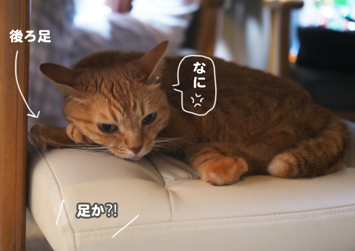 8日ブログ３