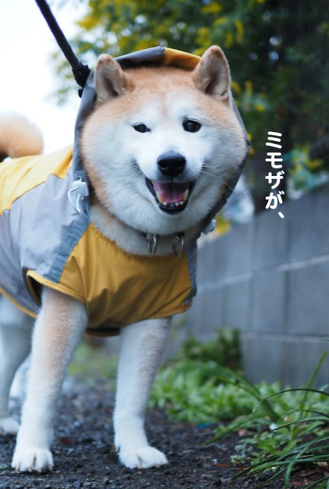 23日夜ブログ２