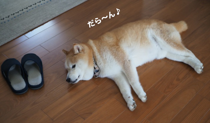 24日ブログ４