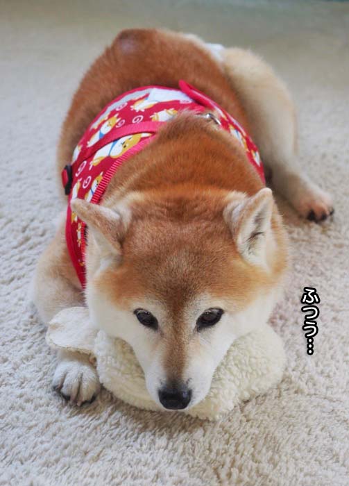 15日夜ブログ４