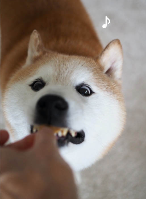 11日夕ブログ９