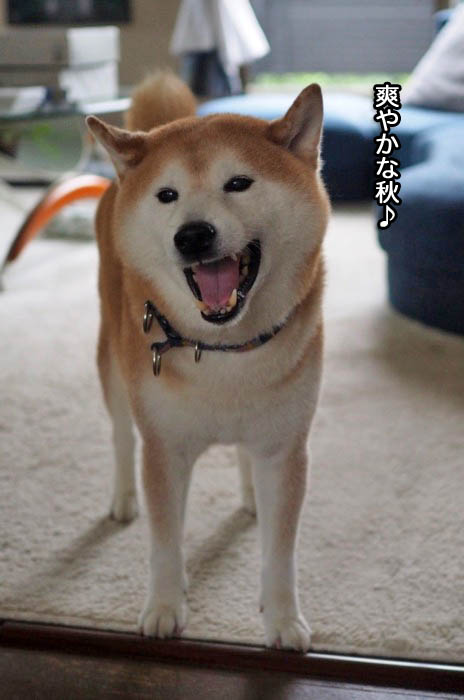 20日夜ブログ７