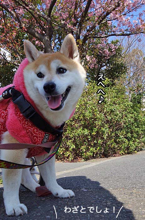 29日夜ブログ８