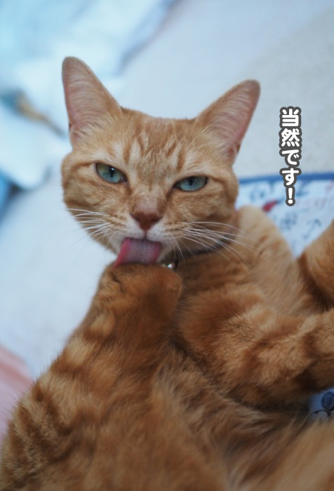 25日夕ブログ８