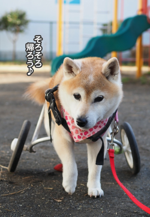 12日夜ブログ３