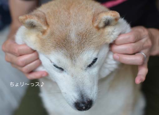 2日ブログ8.jpg