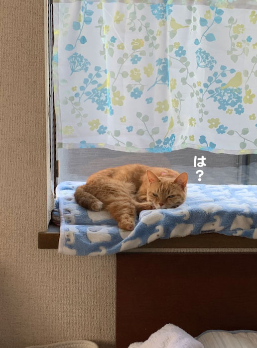 4日ブログ3