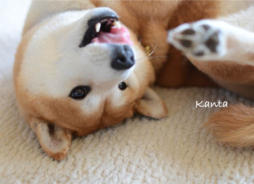 15日ブログ3.jpg