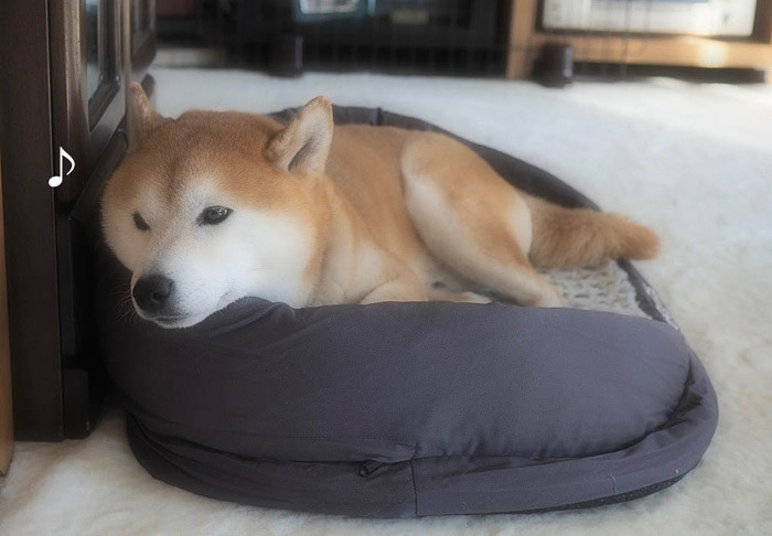 2日ブログ１３