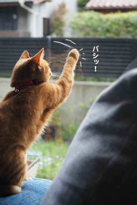 2日夕ブログ５