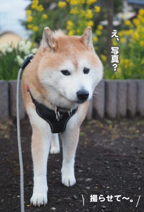 15日夕ブログ２