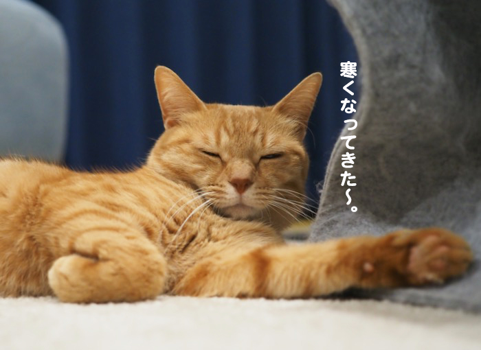 12日夜ブログ４