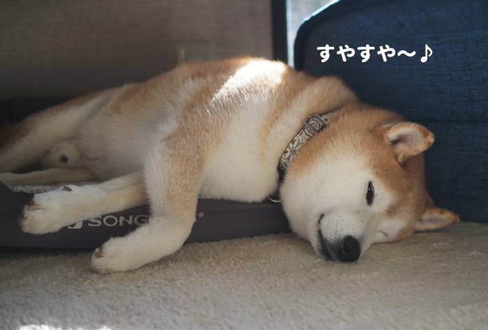 17日ブログ４