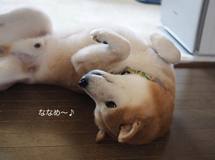 25日夜ブログ１