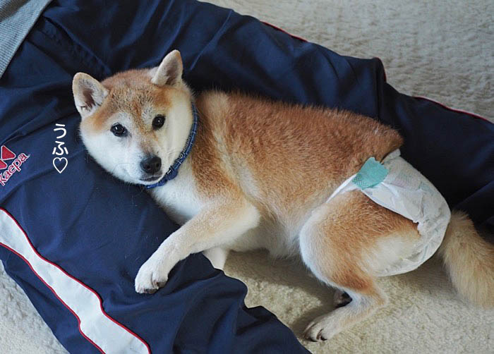 26日午前ブログ２