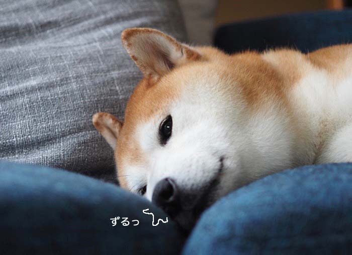 30日午後ブログ８