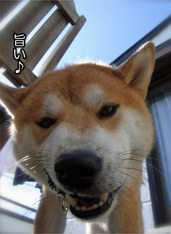 29日ブログ6.jpg