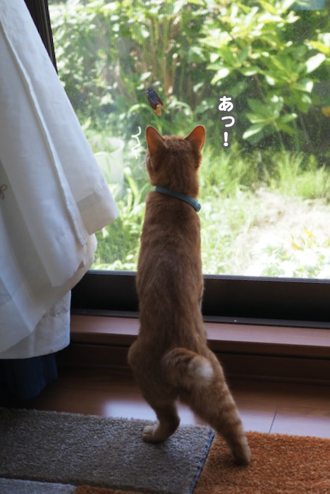 21日ブログ１