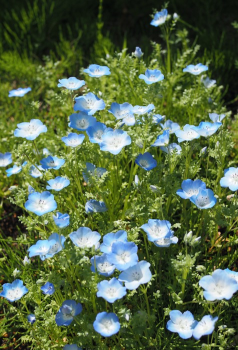 29日ブログ９