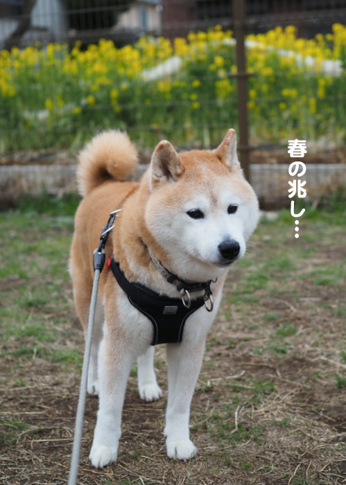 18日ブログ２