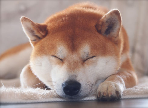 21日ブログ10.jpg