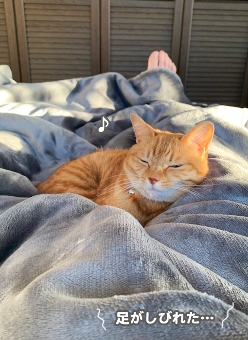 19日夕ブログ４