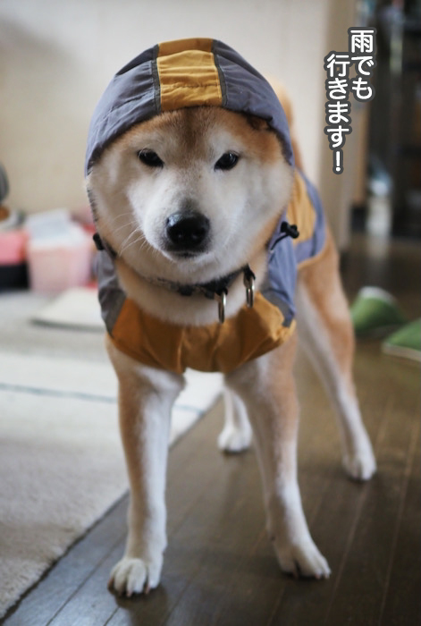 20日夜ブログ２