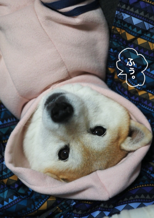 23日ブログ３