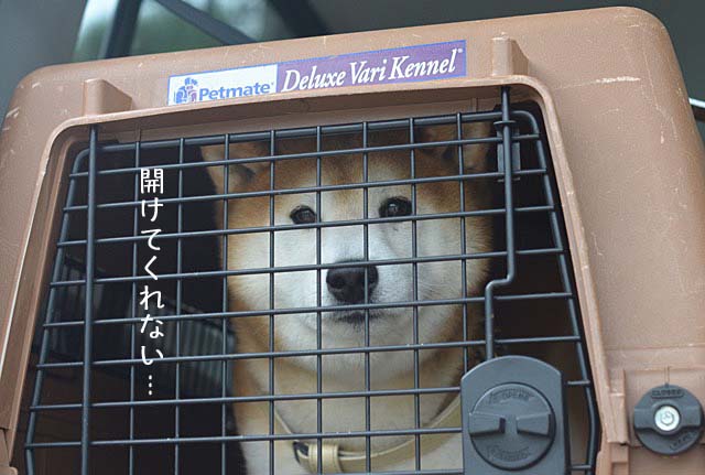 24日ブログ10