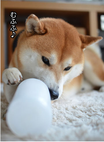22日ブログ2.jpg