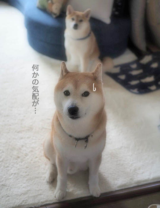 8日夜ブログ5
