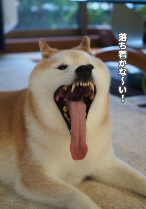 16日ブログ３