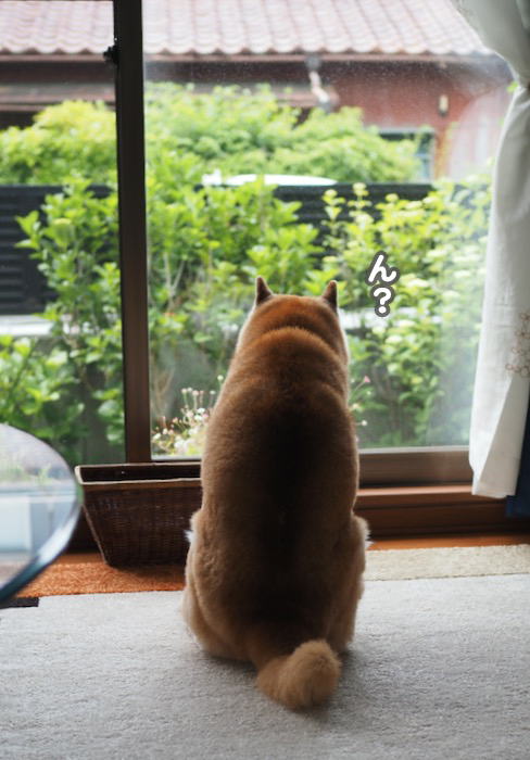 22日夕ブログ２