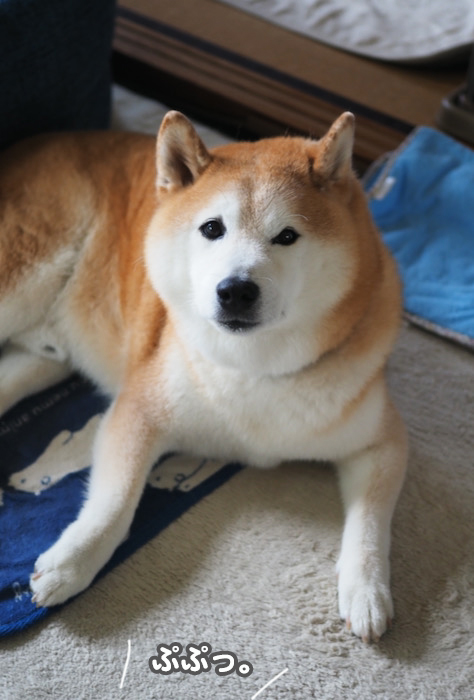 29日ブログ４